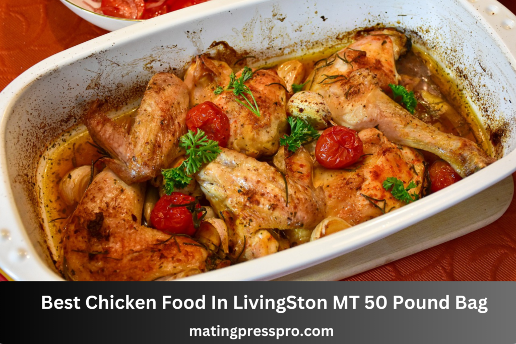 Best Chicken Food In LivingSton MT 50 Pound Bag