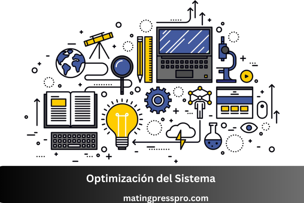 Optimización del Sistema 