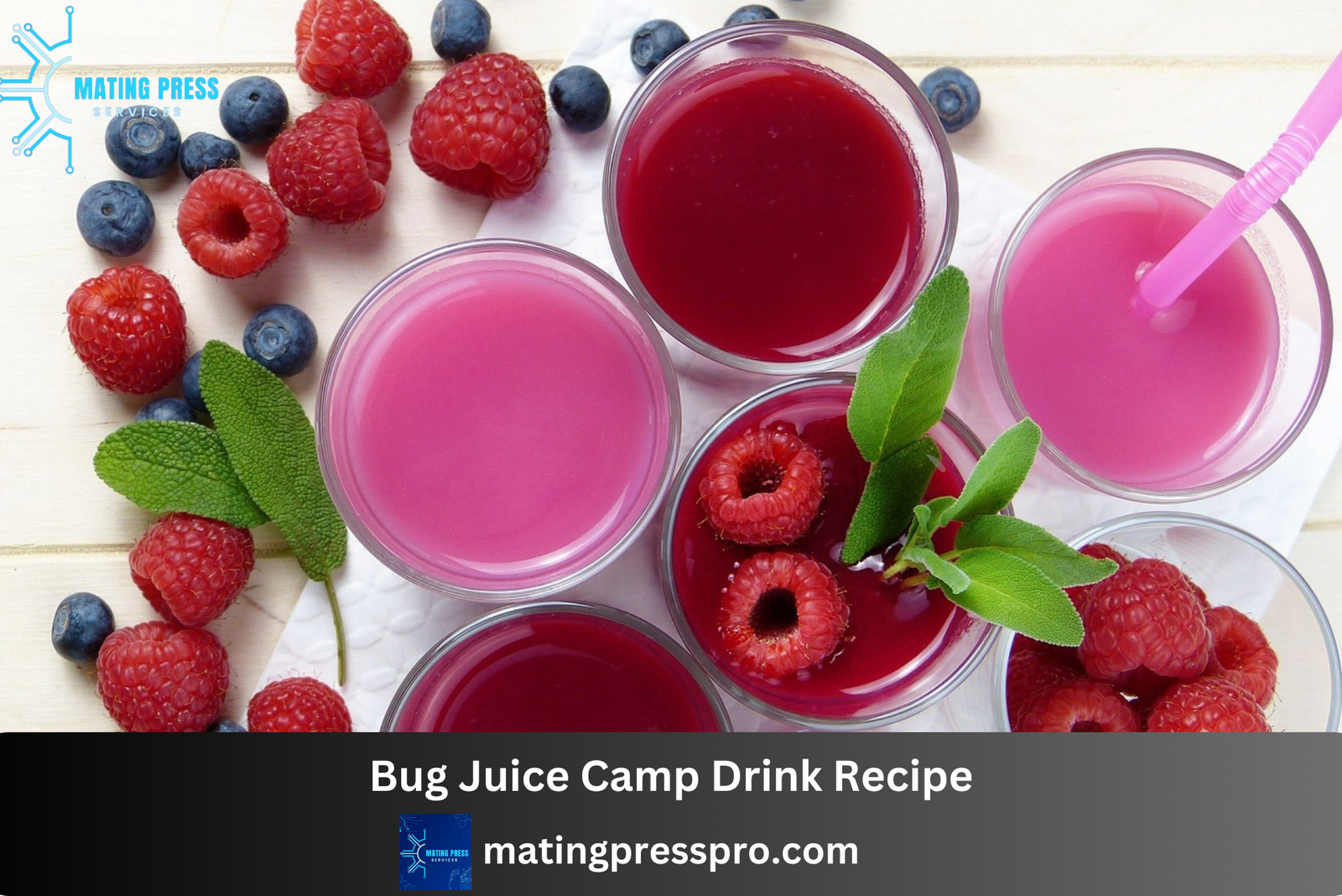 Bug Juice Camp Drink Recipe