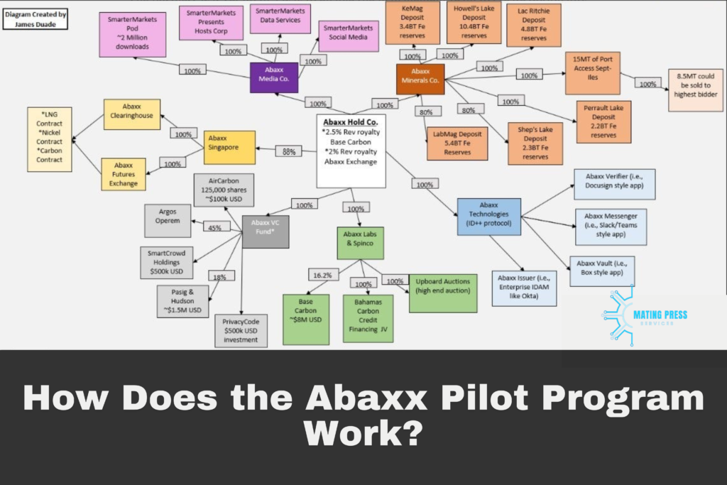 How Does the Abaxx Pilot Program Work?