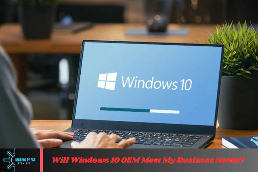 Will Windows 10 OEM Meet My Business Needs?