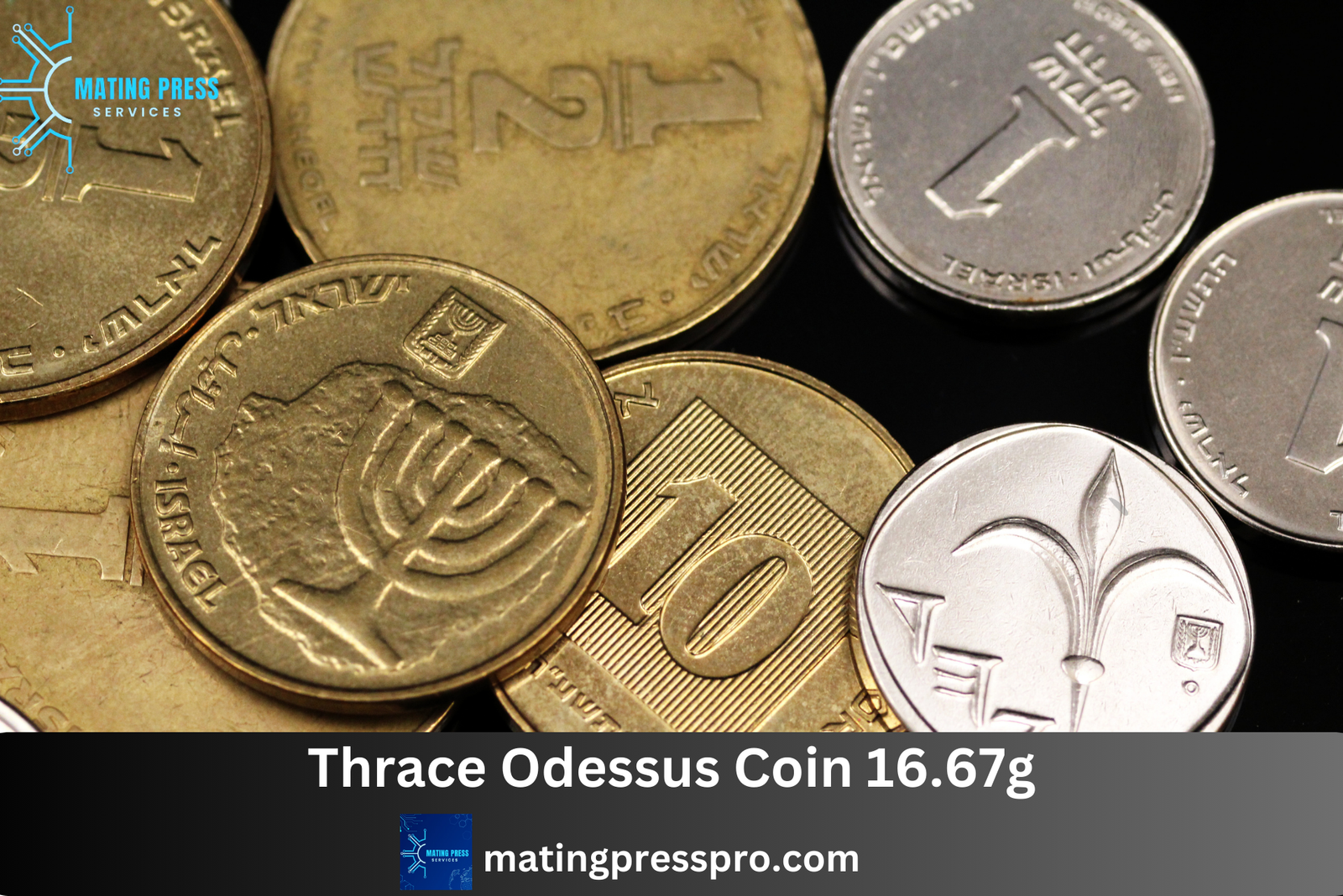 Thrace Odessus Coin 16.67g